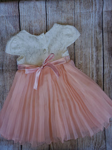 Baby Girs " Sweet heart rose" dress sz 24 months
