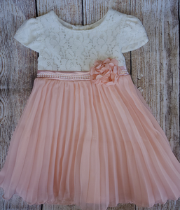 Baby Girs " Sweet heart rose" dress sz 24 months