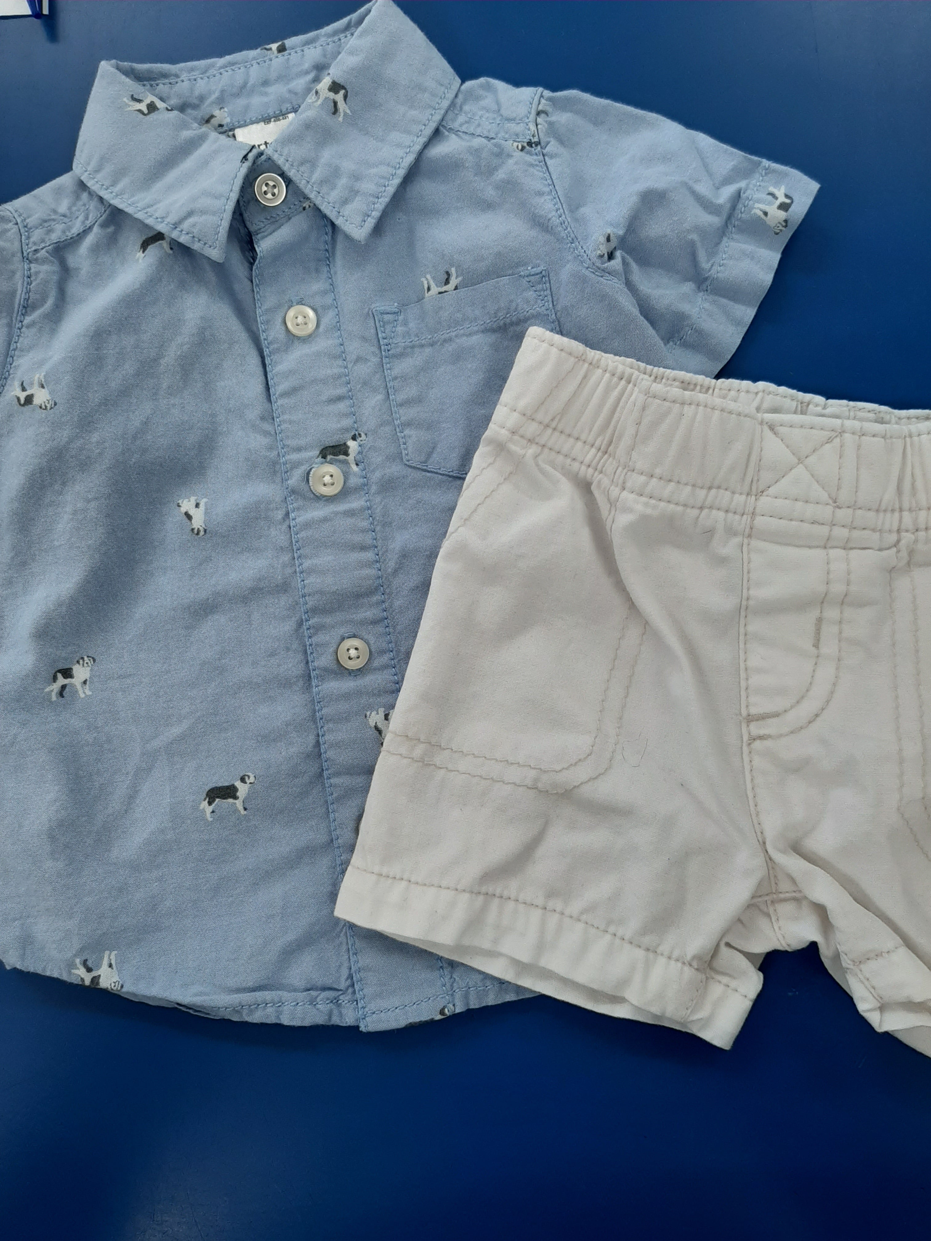 Carter's 2pc Boys Big Dog Summer Outfit